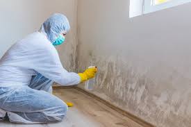 Asbestos and Lead Testing During Mold Inspection in Jacksonville, TX